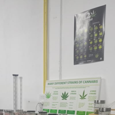 ซ๊อปซา cannabis shop ม.อุบล-โค้งบัววัด product image