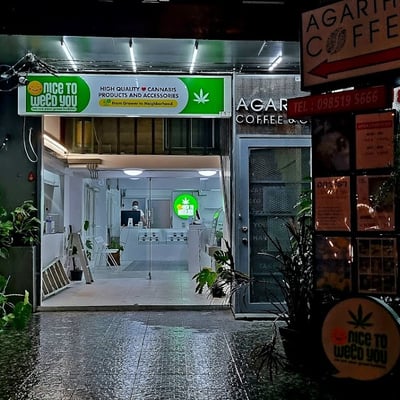 ร้านขายกัญชา Nice to weed you / ไนซ์ทูวี๊ดยู ( 大麻 / 大麻店 / Dispensary / Ganja / Cannabis) product image