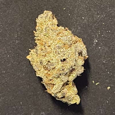 MENDOCINO PURPS