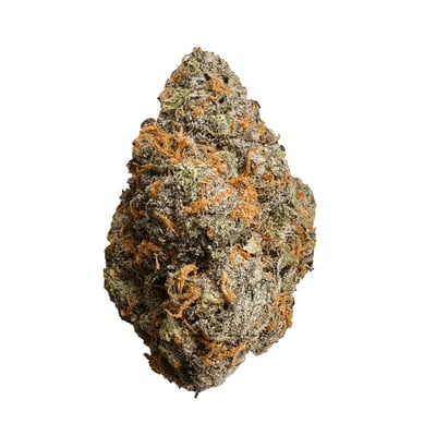 Budzilla product image