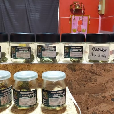 CANNABIS SHOP ตาลุงหัวล้านออแกนิค3 product image