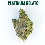 Platinum Gelato