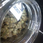 Shiva Cannabis - Weed & Bar