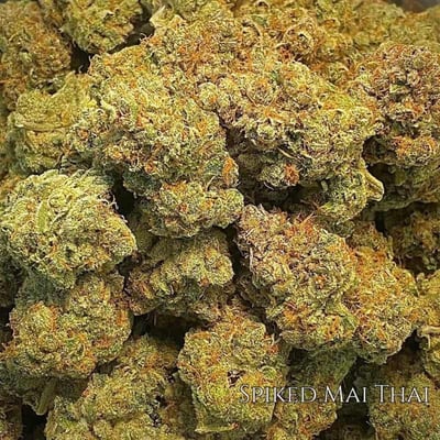 Spiked Mai Thai – Sativa – THC – 21% (Per Gram)