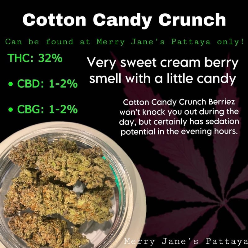 Cotton Candy Crunch Cannabis Flower at Merry Jane’s Pattaya in Pattaya Weed in Thailand