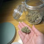 BAKED Patong Cannabis Dispensary