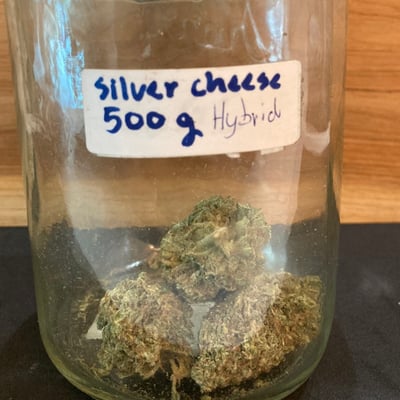 silver cheese