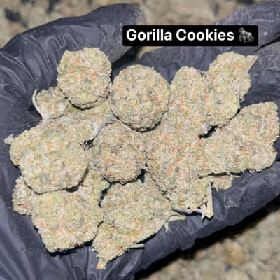 Gorilla Cookies 🦍