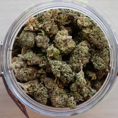 WEED GS MZ