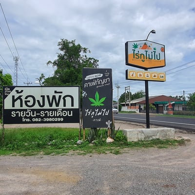 คาเฟ่กัญชา Cannabis Cafe’ product image