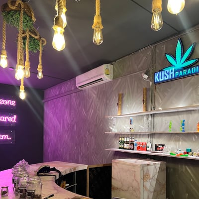 Kush Paradise Weed Cannabis Shop Cafe&Bar product image