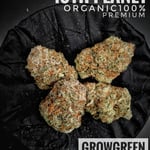 Grow Green cannabis shop - ร้านกัญชา ออร์แกนิค ปลีก-ส่ง