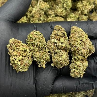 Chemdawg