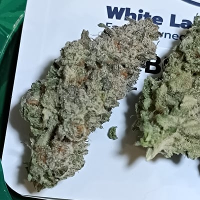 White Labs Cannabis, Sriracha, Chon Buri, indoor farm product image