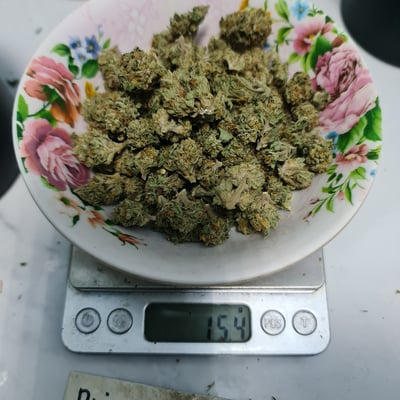 ร้านกัญชา มีกัญสระแก้ว cannabis shop product image
