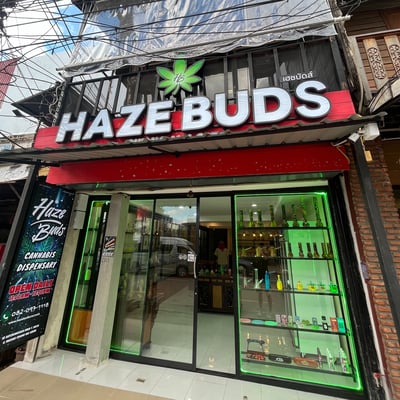 Haze Buds Cannabis Chiang Mai Gate Saturday Walking Street