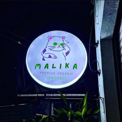 Maika cannabis product image