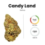 Candy Land