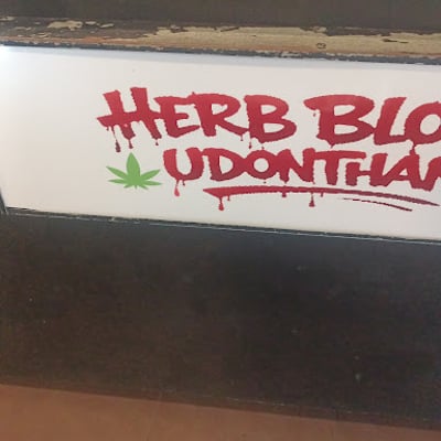 Herb Blood | Cannabis - Snus nicotine pouch In Udonthani product image