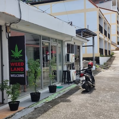 Greenland 420 - Phuket's best weed - Kata Shop - Lounge product image