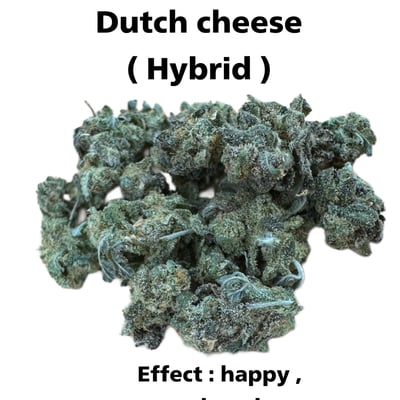 Dutch cheese ( Pop )