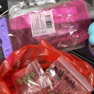 PGcannabiz เพื่อนกัญ ร้านกัญชาพิษณุโลก ร้านกัญชาใกล้ฉัน product image