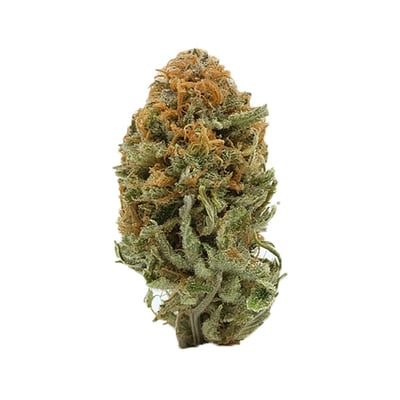 Blueberry Headband