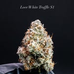 Love White Truffle S1 by BeLeaf