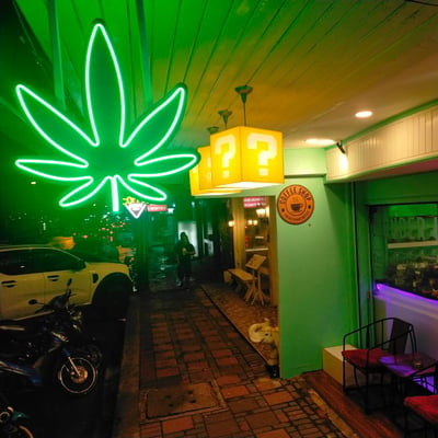 Wonder Weed Pattaya product image