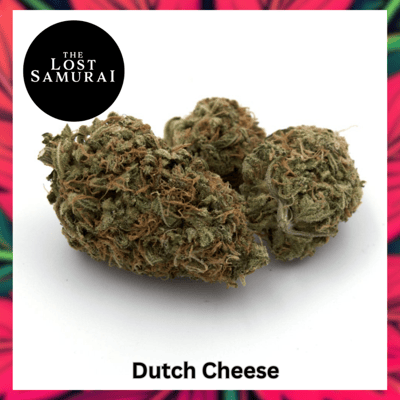 Dutch Cheese