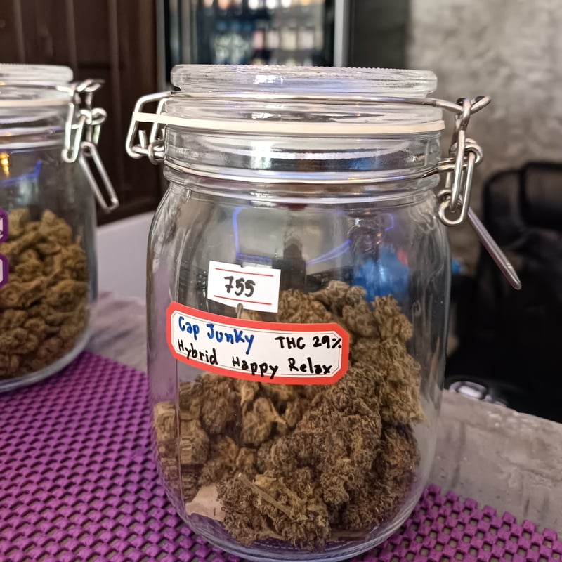 Cap Junky Cannabis Flower at 420 Smokey Phangan in Surat Thani Weed