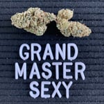 Grand Master Sexy