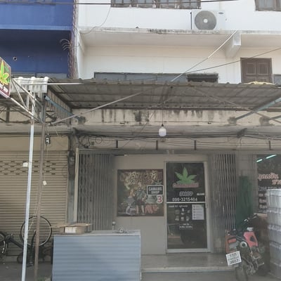 CANNABIS SHOP ตาลุงหัวล้านออแกนิค3 product image