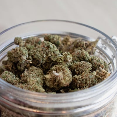 WEED GS MZ