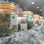 KTK37 cannabis shop