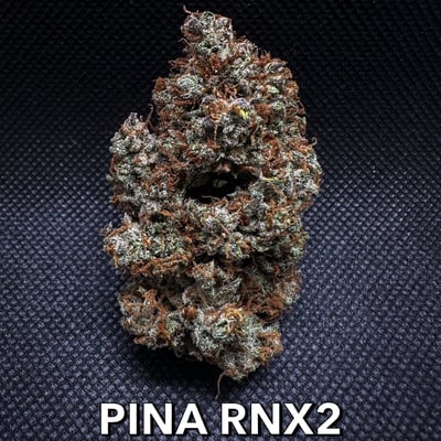Pina RBX2