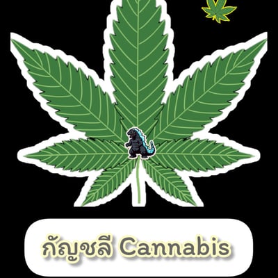 กัญชลี Cannabis product image