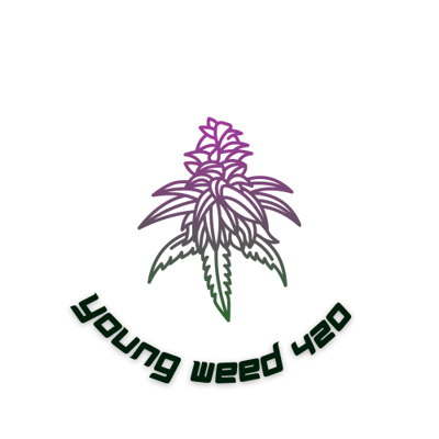 YOUNGWEED420@BKK Cannabis store (ร้านขายกัญชา)