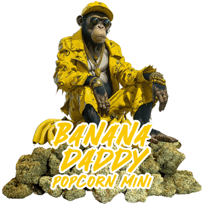 Banana Daddy ( Popcorn Mini )