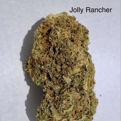 Jelly Rancher 