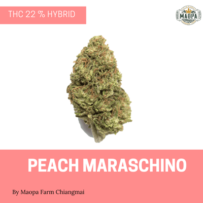 PEACH MARASCHINO 