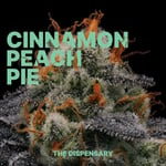 Cinnamon Peach Pie