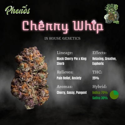 Phenos Dispensary Bangna 大麻 マリファナ 대마초 product image