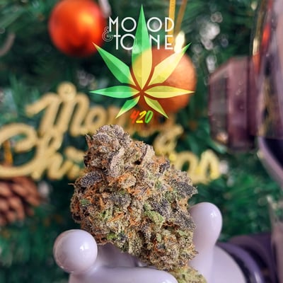 ร้านกัญชา mood&tone dispensary cannabis shop 大麻店 大麻ショップ × Sativa product image