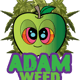 ADAM WEED SHOPกัญชารู้กัญ