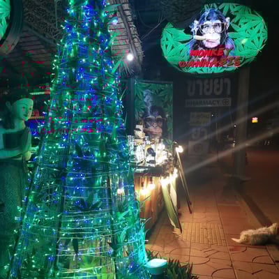 Monkey Reggae Bar product image