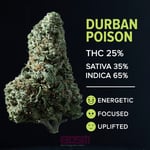 Durban Poison (S-tier)