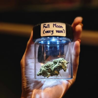 24 Premium Cannabis product image