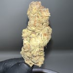 Nuggs Premium Cannabis