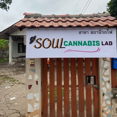 SoulCannabisLab(Trainstation)